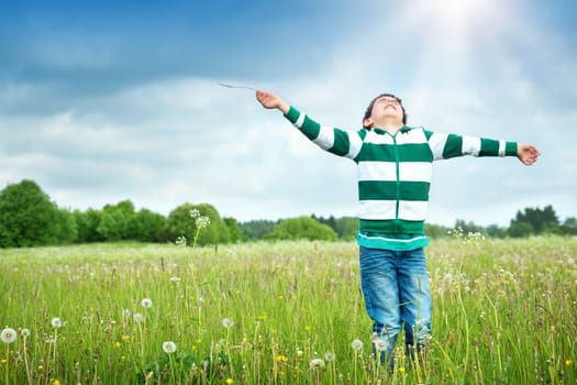 Happy child ion the field with dandelions. Boy looking to the sky in summer outdoors