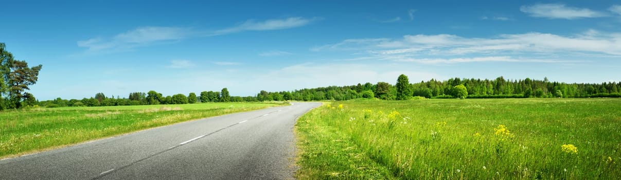 asphalt road panorama in countryside on sunny summer day
