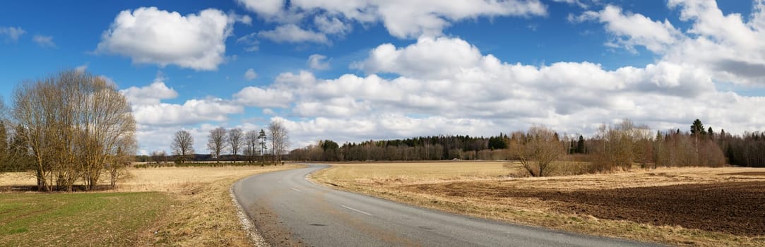 black asphalt road on sunny spring day