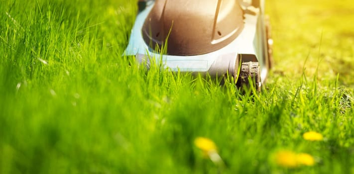 Grass cutter mowing the lawn in summer