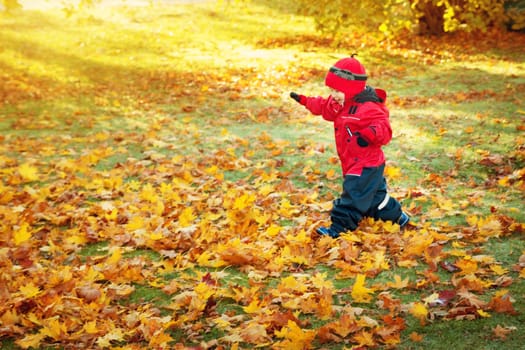cute child running on the lawn covered with yellow leaves. Boy having fun outdoors in autumn