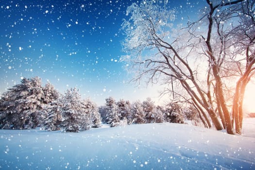 Beautiful tree in winter landscape in late evening in snowfall
