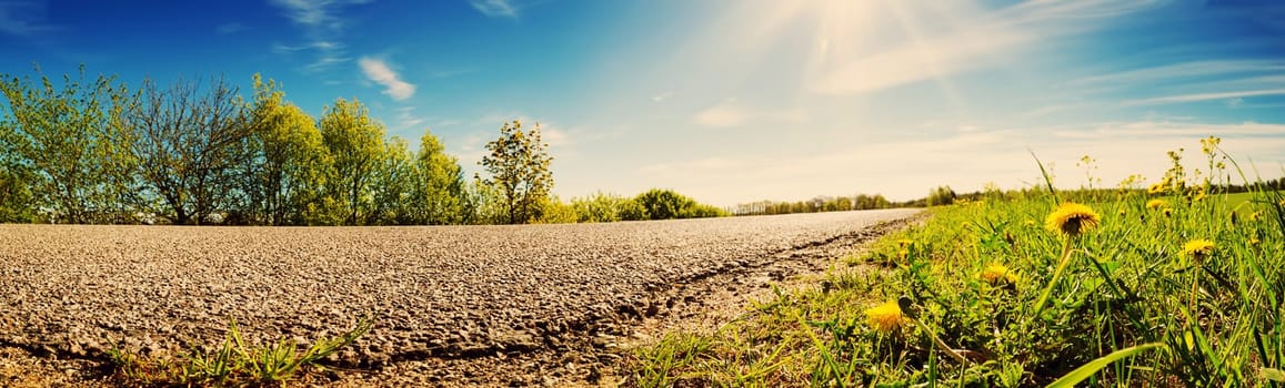 asphalt road panorama in countryside on sunny spring day