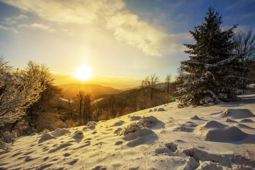 Sun rising above hills covered with snow in winter nature. Wide angle scenery of freezing white environment with trees and blue skies. Golden hour in wilderness.