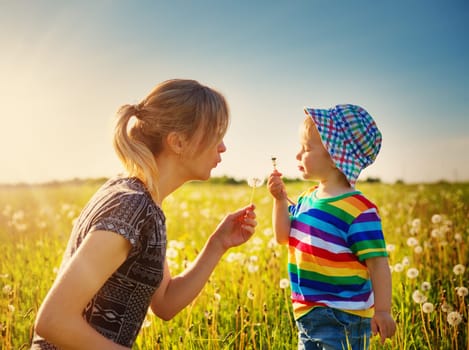Young woman with a boy blowing dandelions. Mother and son having fun on the field