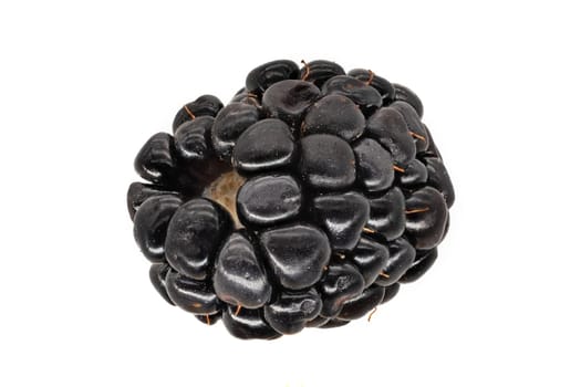 Blackberry Fruit, close up of food on white background