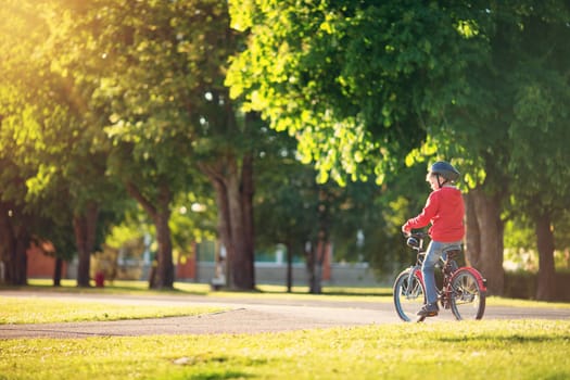 child on a bicycle at asphalt road in summer. Bike in the park. Boy cycling outdoors on beautiful sunny evening