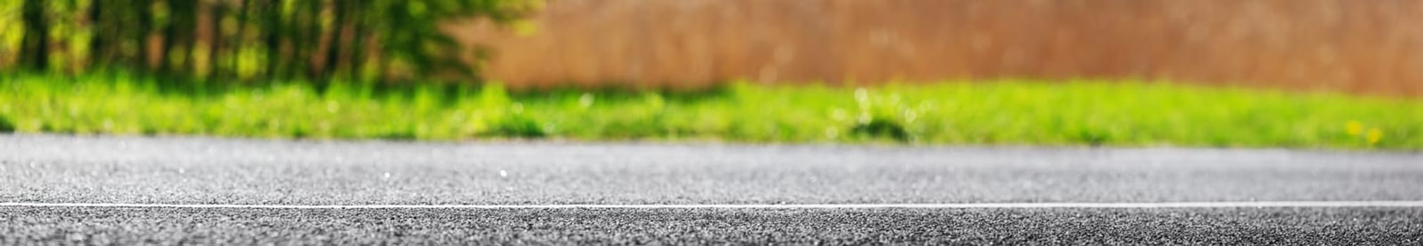 asphalt road panorama in countryside on sunny spring day.. Route in beautiful nature landscape with sun and green grass