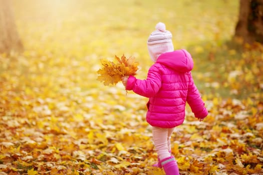 Child standing in park in beautiful autumnal day. Girl collecting yellow maple leaves falling down