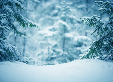 Beautiful tree in winter landscape in late evening in snowfall