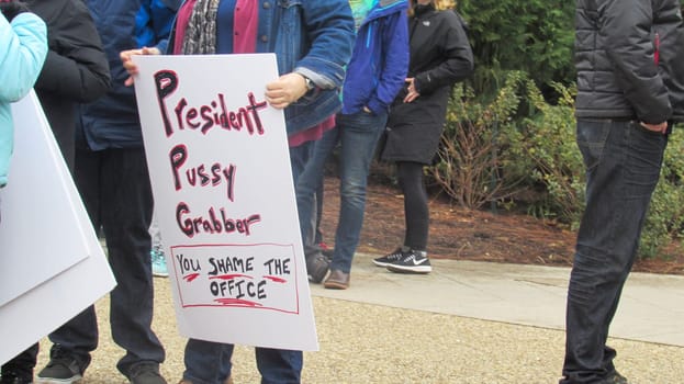 Washington, DC / USA - 01/21/2017: Women's March on Washington protest sign, view from the crowd.