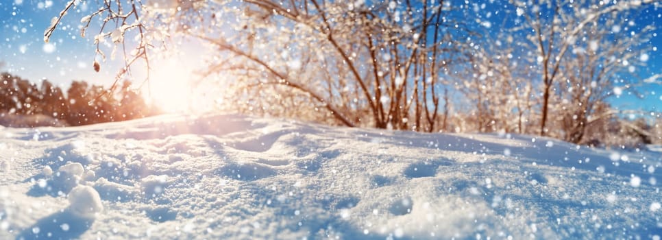 Branches covered with snow on blue sky background in winter