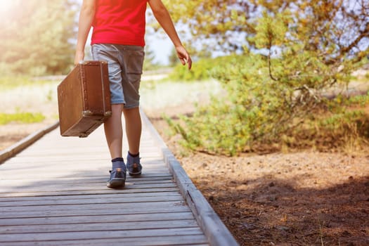 Boy walking in nature in beautiful summer day. child with luggage. Travel and vacations concept