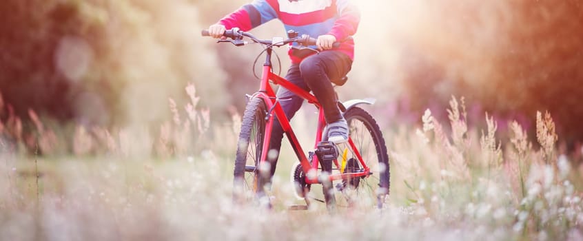 child on a bicycle in the forest in early morning. Boy cycling outdoors in nature