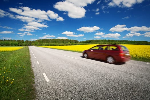 Asphalt road panorama in countryside on sunny summer day