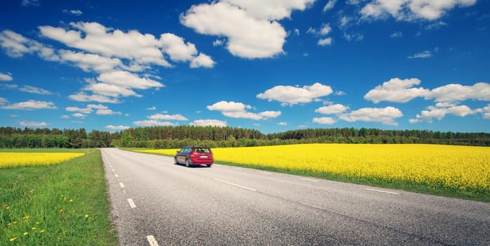 Asphalt road panorama in countryside on sunny summer day