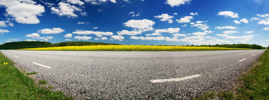 Asphalt road panorama in countryside on sunny summer day