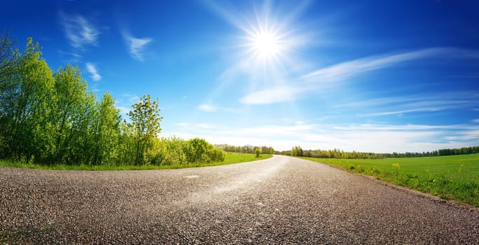 asphalt road panorama in countryside on sunny spring day.. Route in beautiful nature landscape with sun, blue sky, green grass and dandelions
