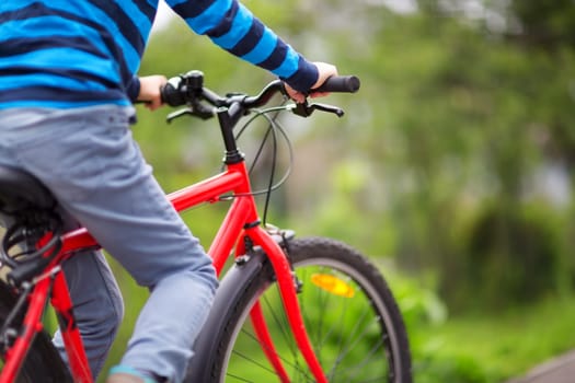 Child on a bicycle in the forest in early morning. Boy cycling outdoors in nature