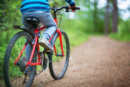 Child on a bicycle in the forest in early morning. Boy cycling outdoors in nature
