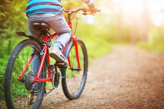 Child on a bicycle in the forest in early morning. Boy cycling outdoors in nature