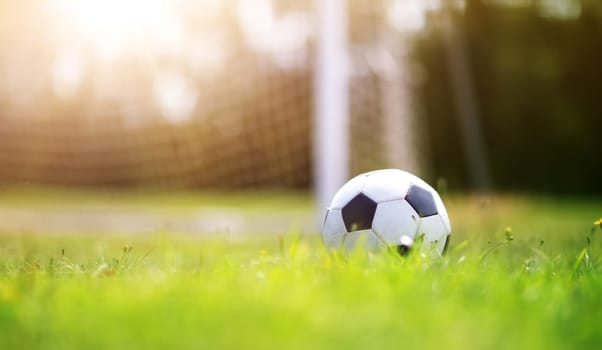 Black and whithe ball lying on green grass in summer
