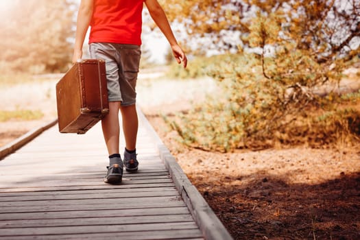 Boy walking in nature in beautiful summer day. child with luggage. Travel and vacations concept