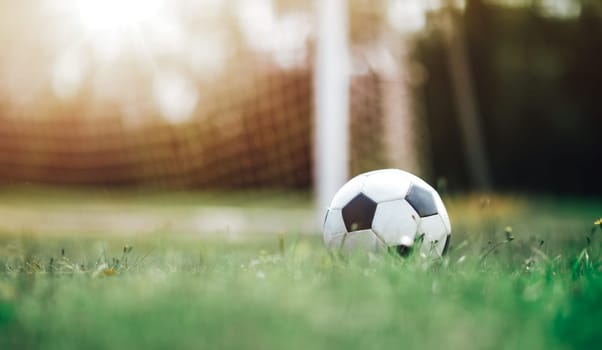 Black and whithe ball lying on green grass in summer