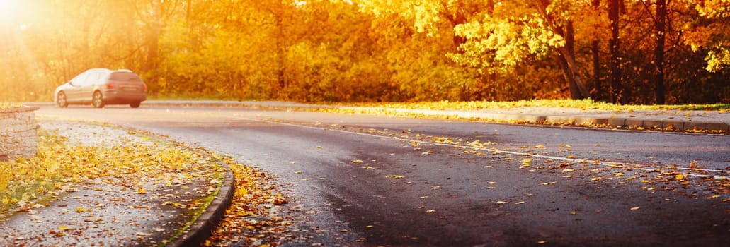 asphalt road with beautiful trees on the sides in autumn