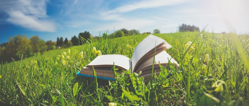 Open book in the grass on the field on sunny day
