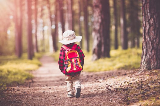 boy going camping in nature. hild with backpack walking in the forest