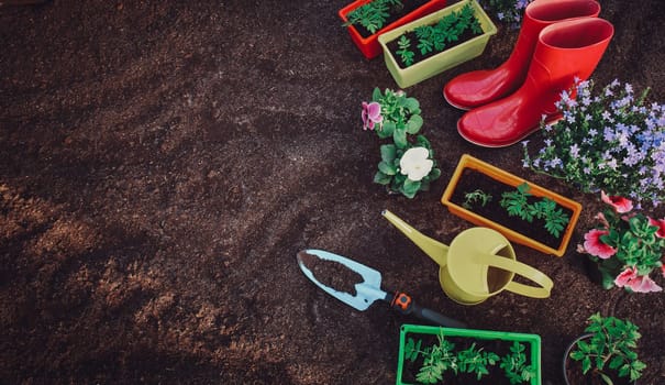 flower and vegetable seedlings growing in the soil at the garden with gardening tools