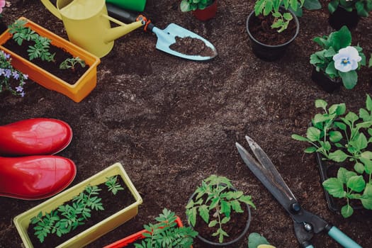 flower and vegetable seedlings growing in the soil at the garden with gardening tools