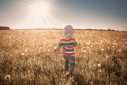 Happy boy standing in grass on the fieald with dandelions at sunny summer evening. child outdoors in nature