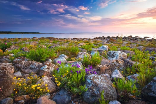 Rocky shores at the sea in beautiful sunset light