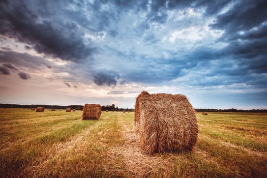 Hay bales on the field at summer evening with beautiful sky