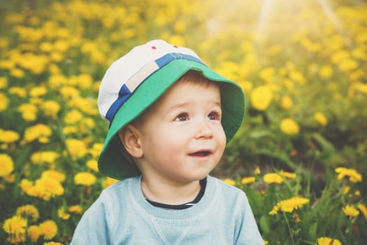 Little boy in hat sitting on the field with dandelions in summer. Happy child outdoors in grass in nature