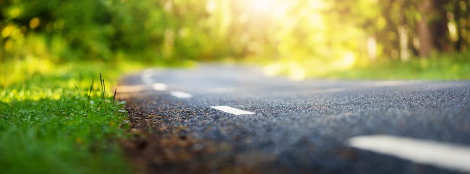 black asphalt road and white dividing lines in the forest