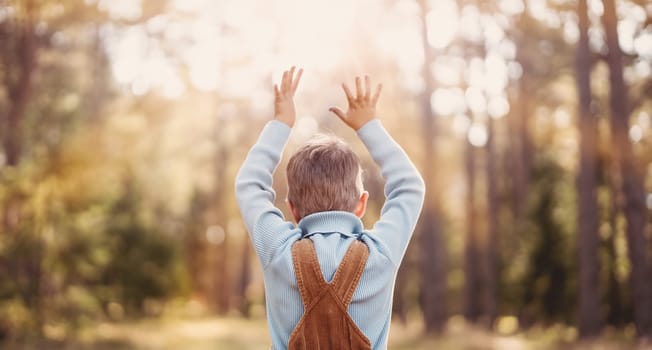 Happy baby boy standing in the forest at sunny summer evening. Cute child outdoors