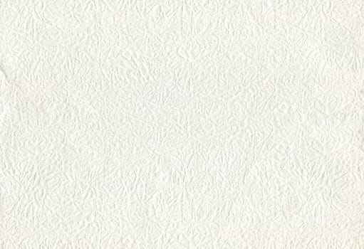 horizontal front view of flat white paper texture with embossed ornament