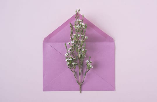 top view closeup of white delicate flowers in bloom on an open vintage pink paper envelope on beige background