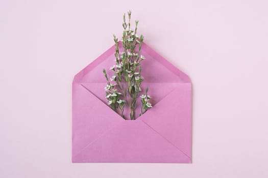 top view closeup of white delicate flowers in bloom bursting out of an open vintage pink paper envelope on beige background