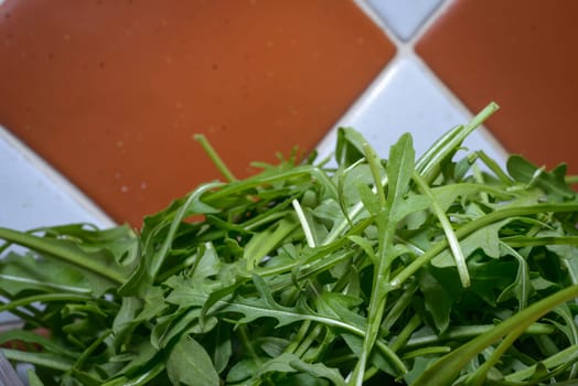Rucola vegetable, nice to find it in a fresh salad