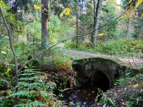 autumn forest landscape with old bridge in the foreground