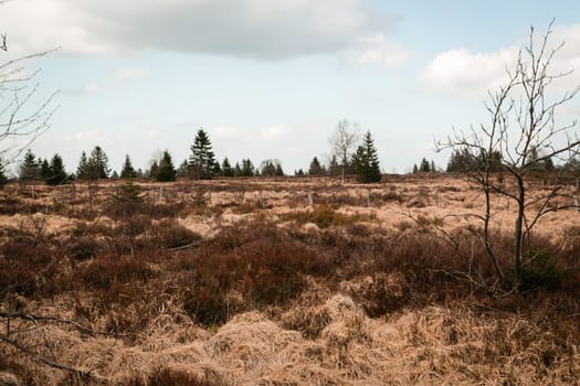 The High Fens, Hoge Venen, Belgium, Signal Van Botrange