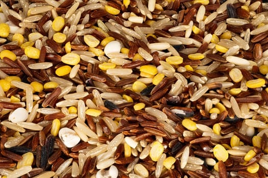 Multigrain Rice, close up and studio shot of rice