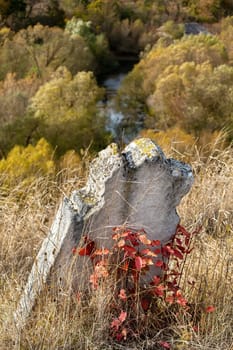 Old Jewish cemetery in the fall. Tombstones on a background of dry grass in a cemetery. The Jewish cemetery is a kirkut in the urban-type village of Satanov of Ukraine.