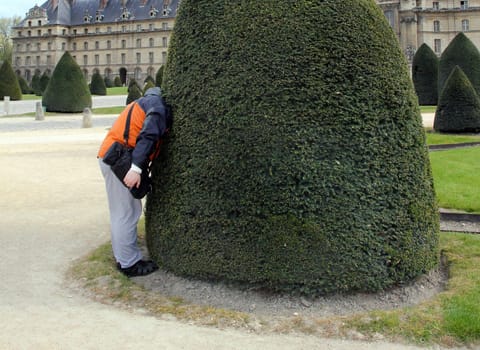 A man hides his head in the foliage of a tree. The concept of avoiding problems as well as learning new things and curiosity. Hide one's head in the sand