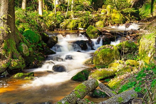 Stream Through Autumn Forest, landscape with flowing water