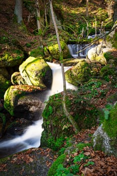 Stream Through Autumn Forest, landscape with flowing water